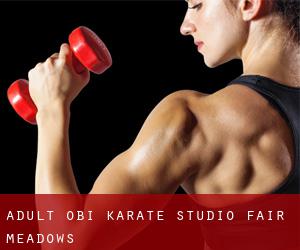 Adult Obi Karate Studio (Fair Meadows)
