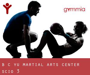 B C Yu Martial Arts Center (Scio) #3