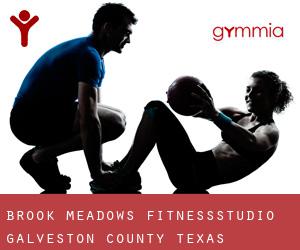 Brook Meadows fitnessstudio (Galveston County, Texas)