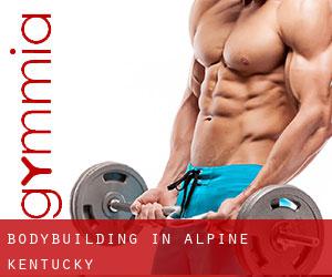 BodyBuilding in Alpine (Kentucky)
