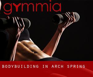 BodyBuilding in Arch Spring