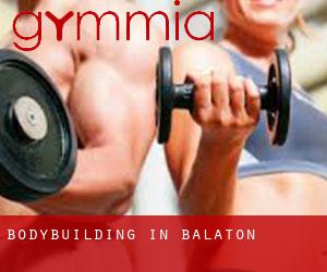 BodyBuilding in Balaton
