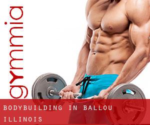 BodyBuilding in Ballou (Illinois)