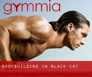 BodyBuilding in Black Cat