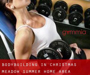 BodyBuilding in Christmas Meadow Summer Home Area