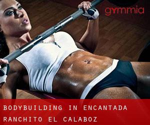 BodyBuilding in Encantada-Ranchito-El Calaboz