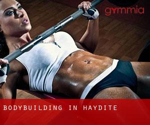 BodyBuilding in Haydite