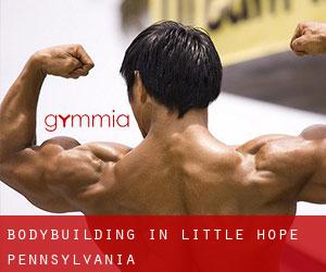 BodyBuilding in Little Hope (Pennsylvania)