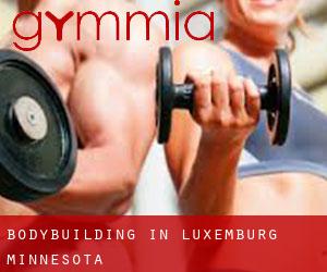 BodyBuilding in Luxemburg (Minnesota)