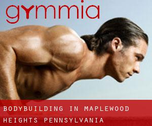 BodyBuilding in Maplewood Heights (Pennsylvania)