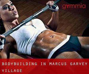 BodyBuilding in Marcus Garvey Village