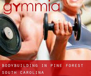 BodyBuilding in Pine Forest (South Carolina)