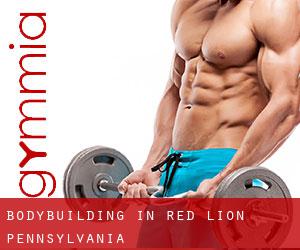 BodyBuilding in Red Lion (Pennsylvania)