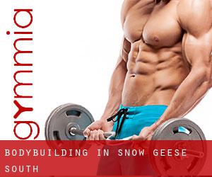 BodyBuilding in Snow Geese South