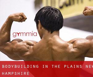 BodyBuilding in The Plains (New Hampshire)