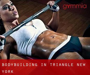 BodyBuilding in Triangle (New York)