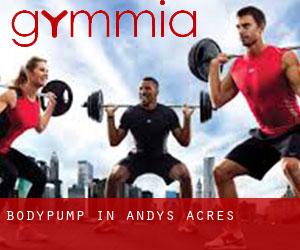 BodyPump in Andys Acres