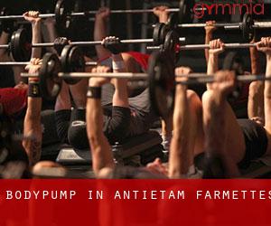 BodyPump in Antietam Farmettes