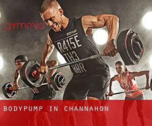 BodyPump in Channahon