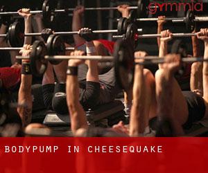 BodyPump in Cheesequake