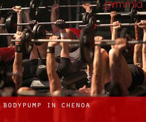 BodyPump in Chenoa