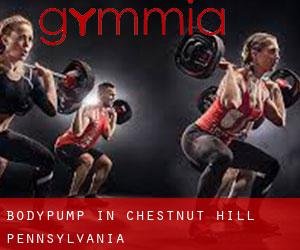 BodyPump in Chestnut Hill (Pennsylvania)