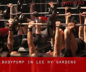 BodyPump in Lee Hy Gardens