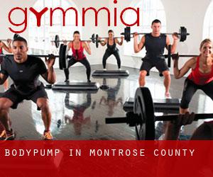 BodyPump in Montrose County