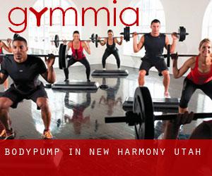 BodyPump in New Harmony (Utah)