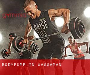 BodyPump in Waggaman