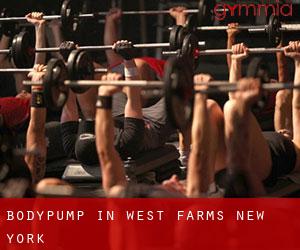 BodyPump in West Farms (New York)