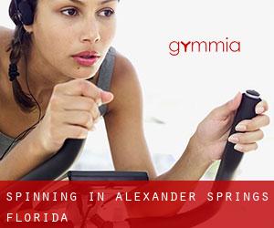 Spinning in Alexander Springs (Florida)