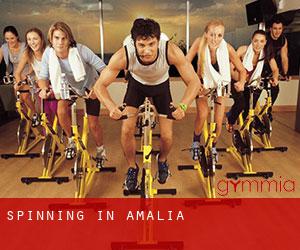 Spinning in Amalia