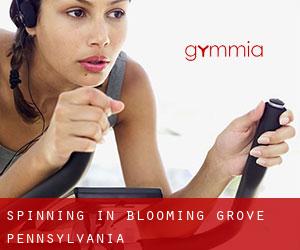 Spinning in Blooming Grove (Pennsylvania)