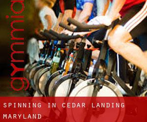 Spinning in Cedar Landing (Maryland)