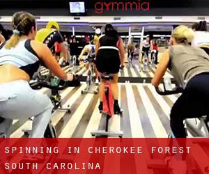 Spinning in Cherokee Forest (South Carolina)