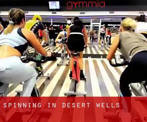 Spinning in Desert Wells