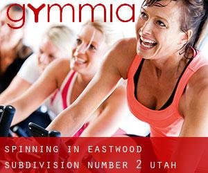 Spinning in Eastwood Subdivision Number 2 (Utah)