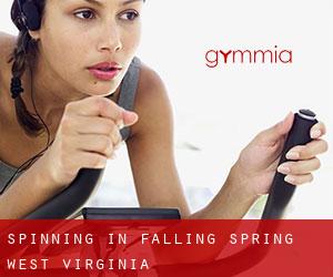 Spinning in Falling Spring (West Virginia)