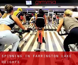 Spinning in Farrington Lake Heights
