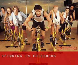 Spinning in Friedburg