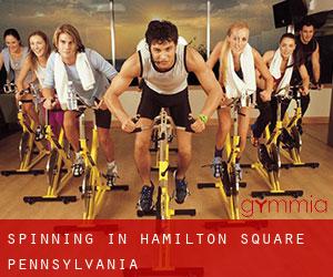 Spinning in Hamilton Square (Pennsylvania)