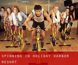 Spinning in Holiday Harbor Resort