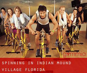 Spinning in Indian Mound Village (Florida)