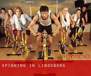 Spinning in Lindsborg