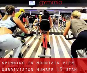 Spinning in Mountain View Subdivision Number 13 (Utah)