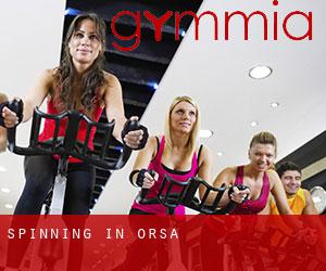 Spinning in Orsa