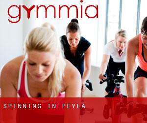 Spinning in Peyla