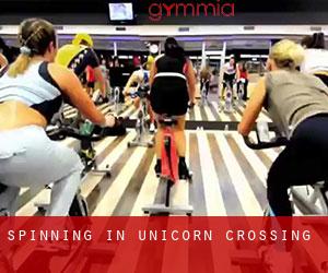 Spinning in Unicorn Crossing