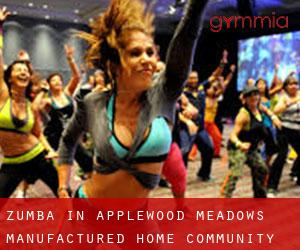 Zumba in Applewood Meadows Manufactured Home Community